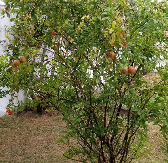 펜션 Pousada Cruzeiro Dos Anjos