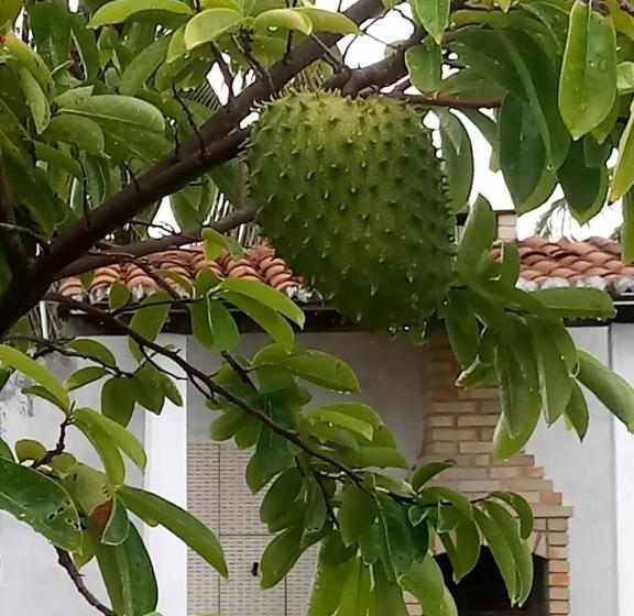 펜션 Pousada Cruzeiro Dos Anjos