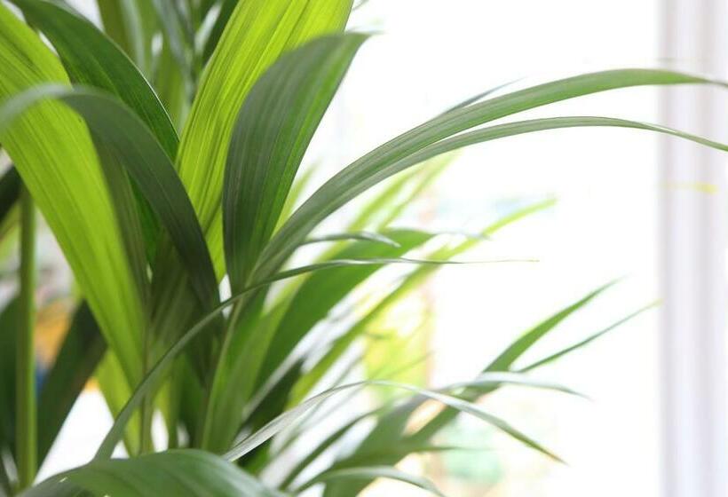 פנסיון Sundial Stays Kendal