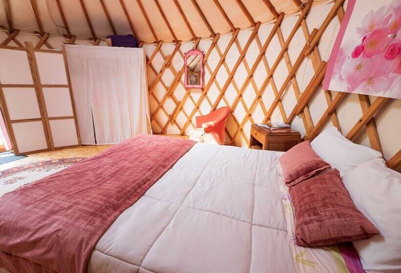 פנסיון Yourtissimo   La Maison Rouge