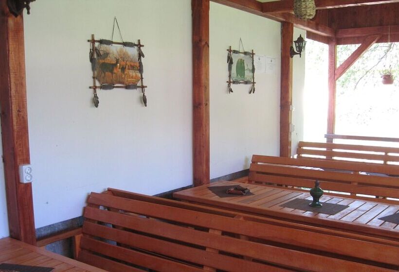 膳宿费 Zoltan&erika