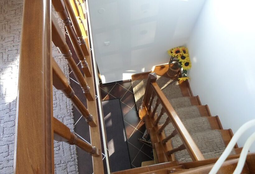 膳宿费 Zoltan&erika