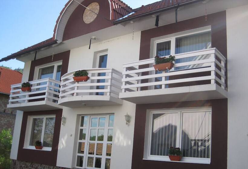 膳宿费 Zoltan&erika