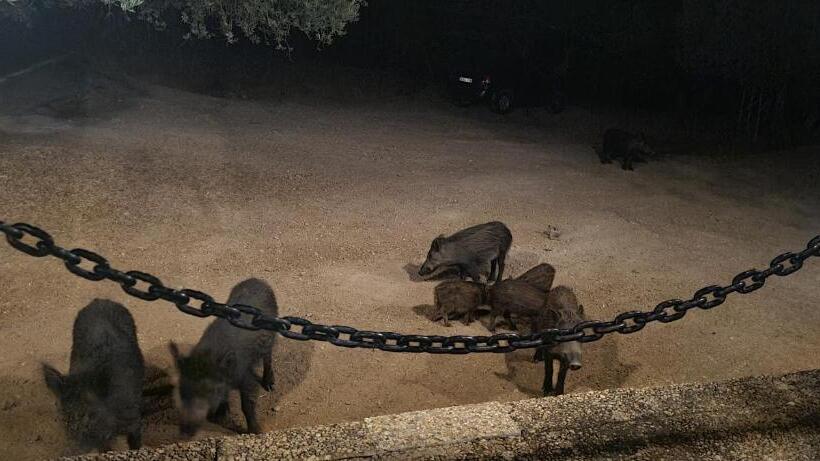 渡假胜地  Alojamiento Turístico El Pantano De Cazorla
