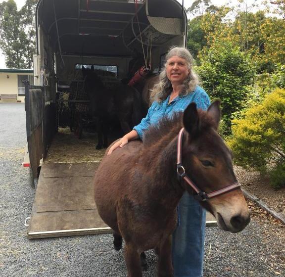 Snowy River Lodge Motel