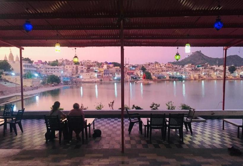 هاستل Doctor Alone