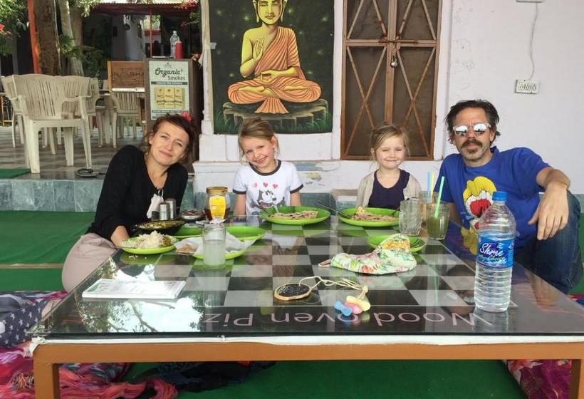 هاستل Doctor Alone