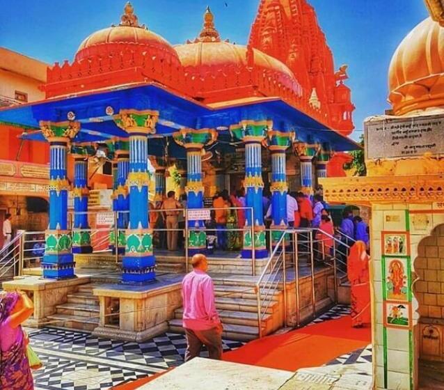 هاستل Doctor Alone