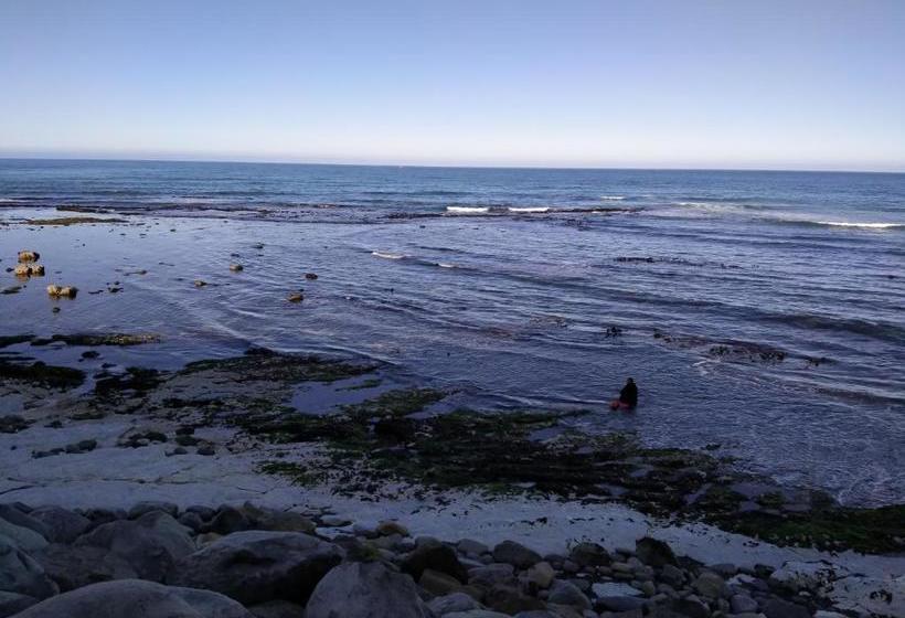 هاستل The Lazy Shag Lodge