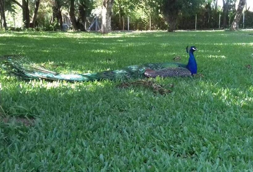 צימר Chácara Rosa Cortiana