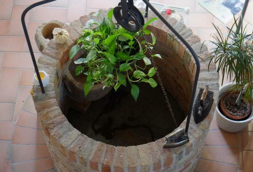 Bed and Breakfast Il Pozzo Di Vivalpa