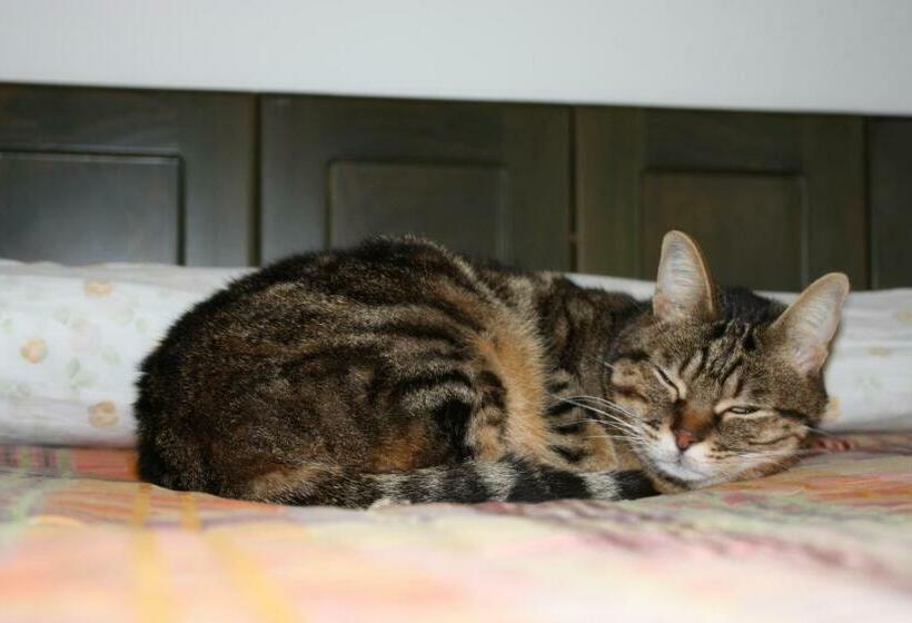 Bed and Breakfast Il Pozzo Di Vivalpa