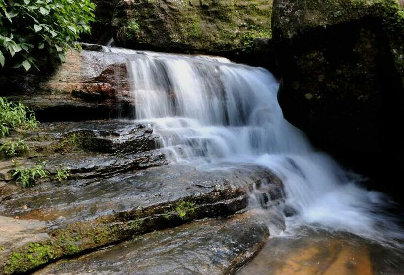 Отель Grand View