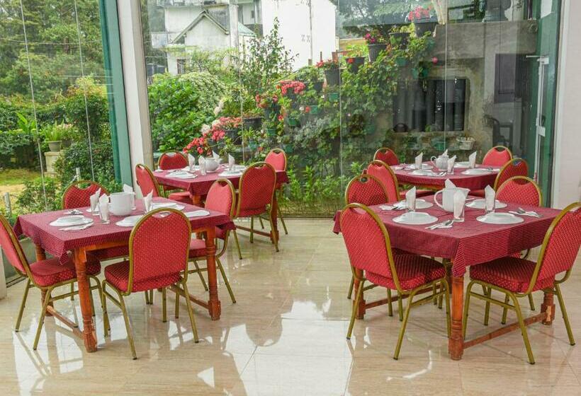 Отель Grand View