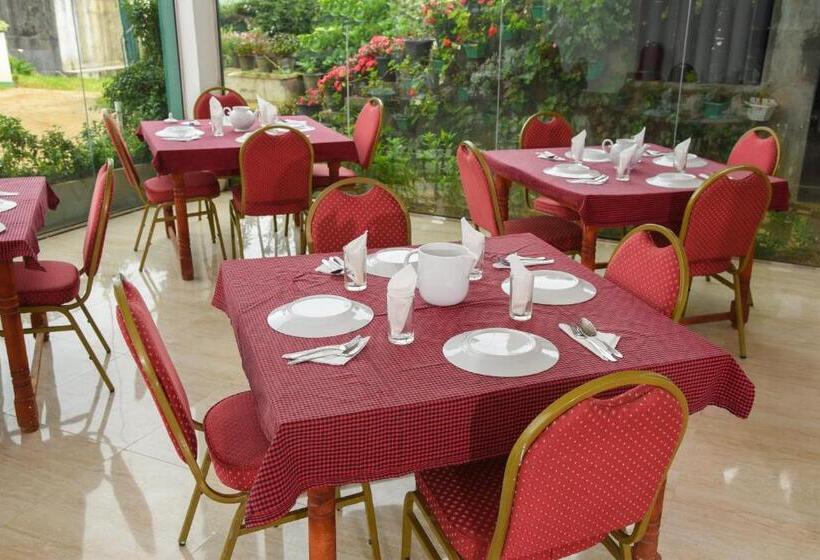 Отель Grand View