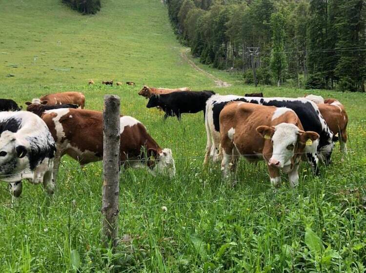 호텔 Hochberghaus Resort