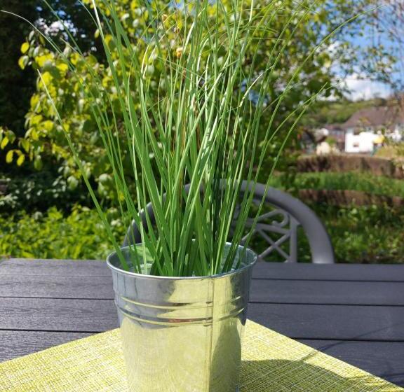 호텔 Wellness Gasthof Cafe Nuhnetal