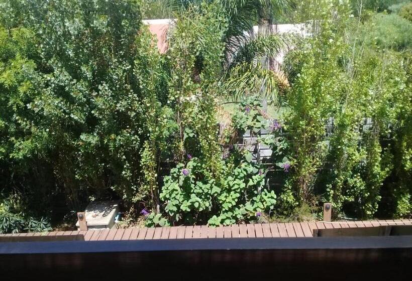 Mar De Estrellas Apart