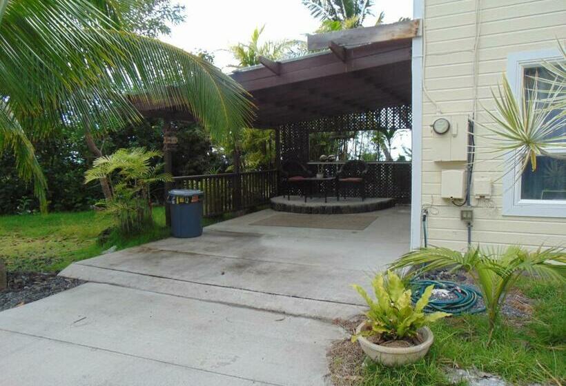 פנסיון Coco Nut Hale