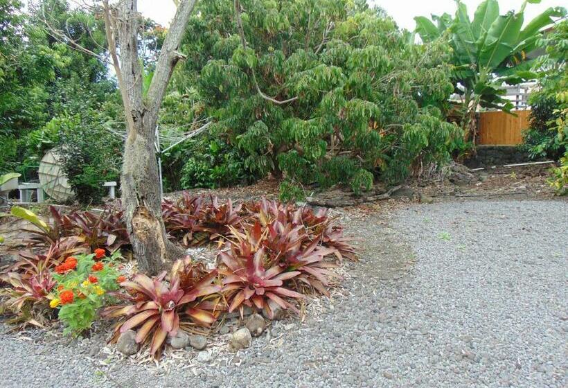 פנסיון Coco Nut Hale