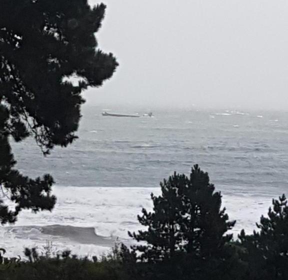 بنسيون Norwegian Wood