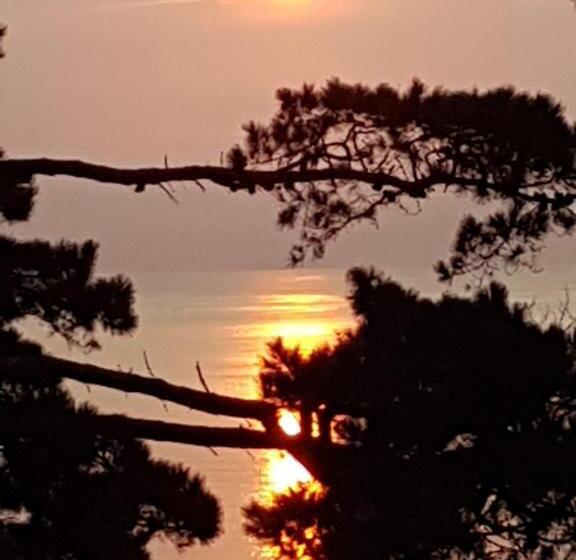 بنسيون Norwegian Wood