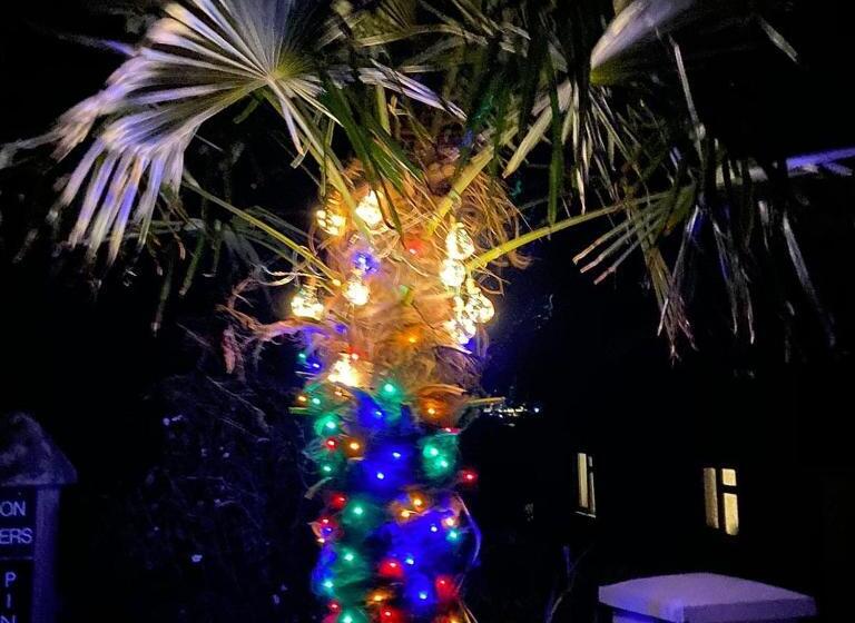 بنسيون Norwegian Wood