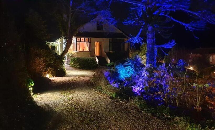 بنسيون Norwegian Wood