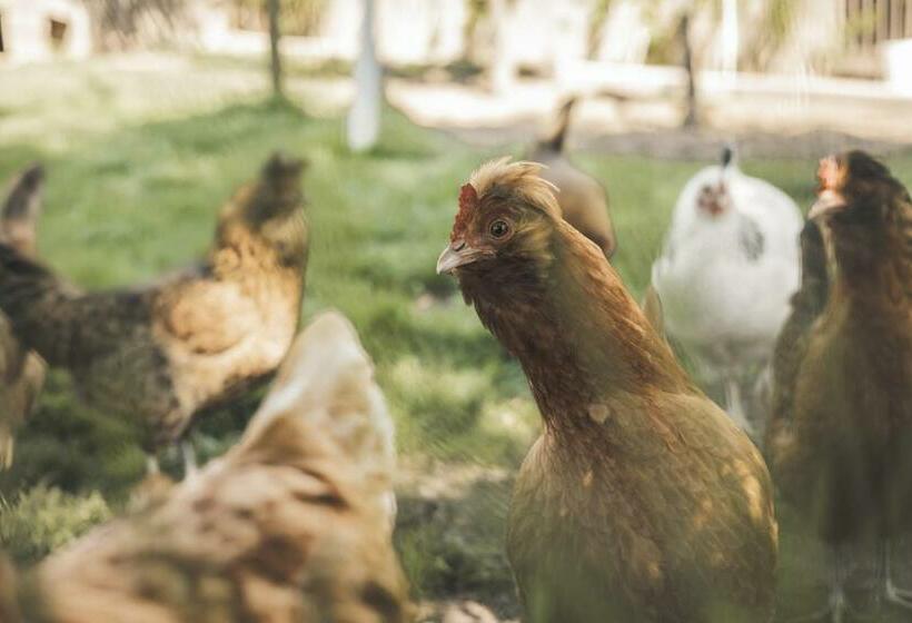 Residence Schnatzhof