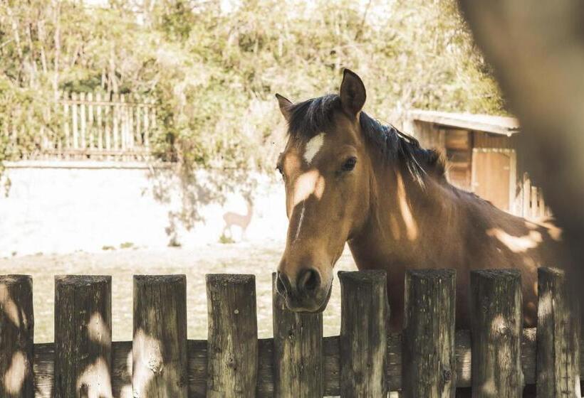 Residence Schnatzhof