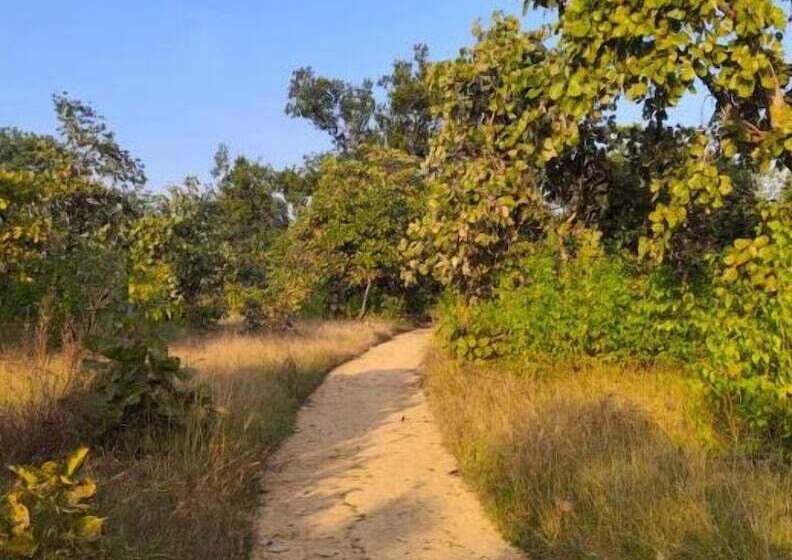 호텔 Bagh Tola, Bandhavgarh