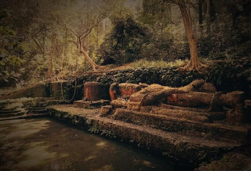 호텔 Bagh Tola, Bandhavgarh