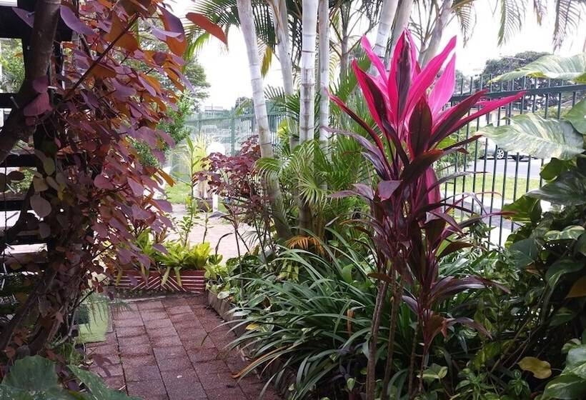 Asylum Cairns Hostel