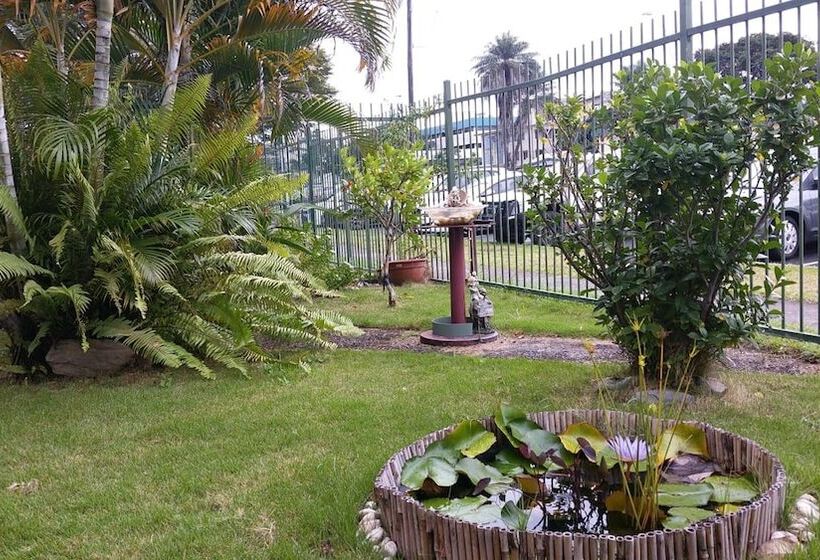 Asylum Cairns Hostel