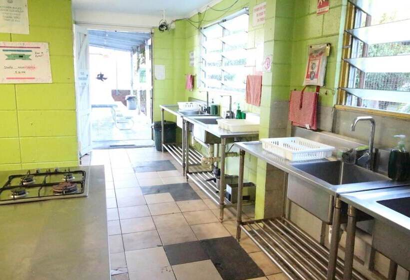 Asylum Cairns Hostel