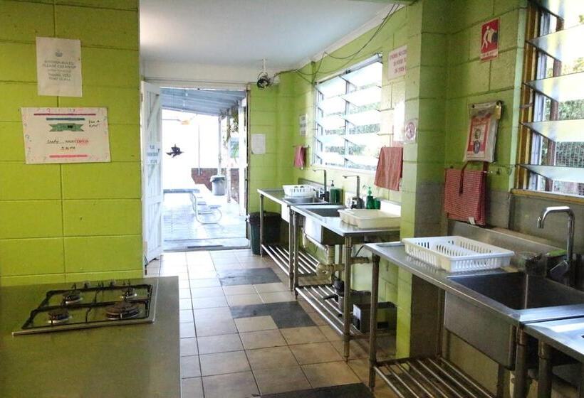 Asylum Cairns Hostel