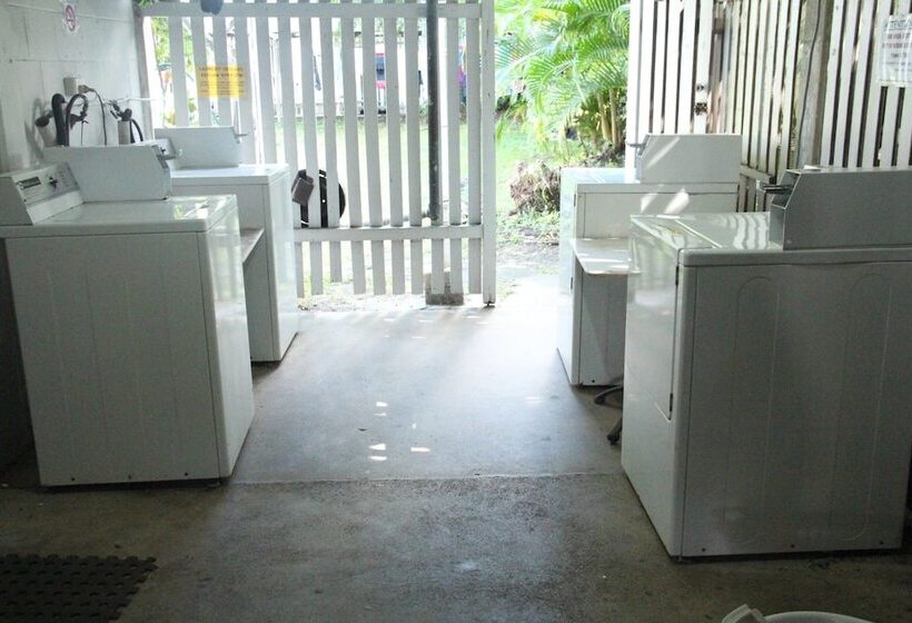 Asylum Cairns Hostel