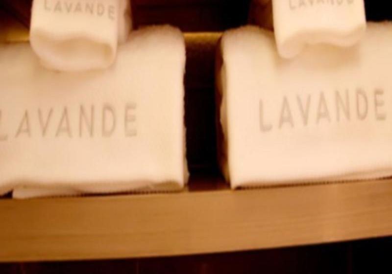 בית מלון כפרי Lavande  Fuxin San Yi Ba Park Branch