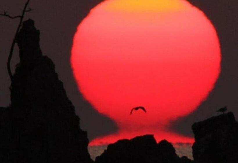 בית מלון כפרי Nagoku