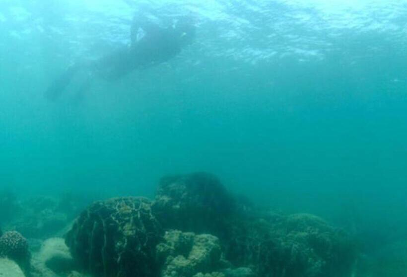 בית מלון כפרי Nagoku