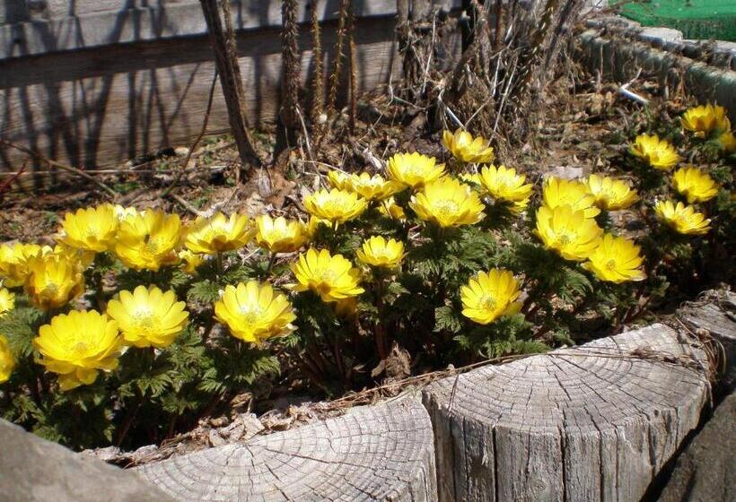 호텔 Pension Formen