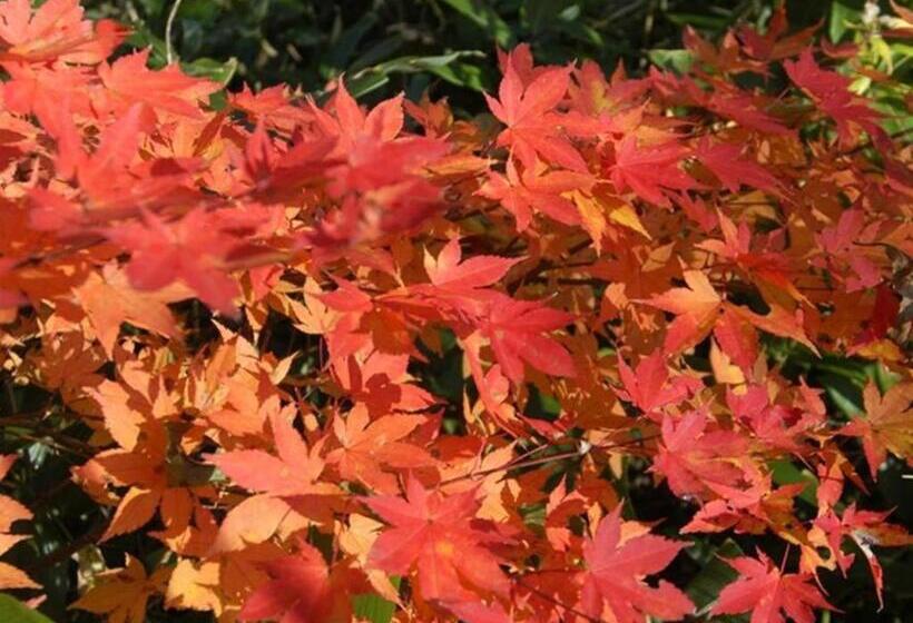 Hotel Yunosawa Onsen Mori No Shiki