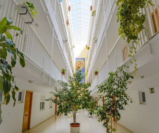 Apartamentos Avenida