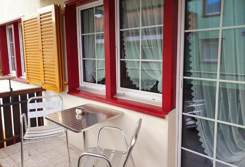 בית מלון כפרי Adler