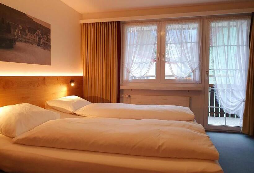 בית מלון כפרי Adler