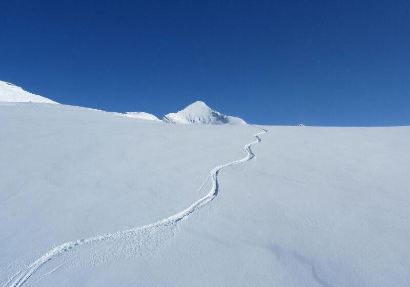 בית מלון כפרי Alpenhof