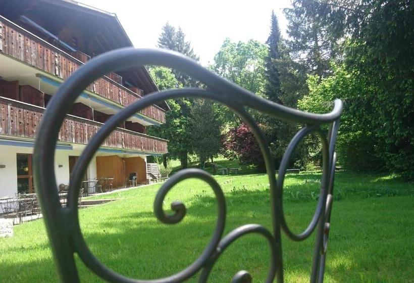 Отель Alpine Lodge