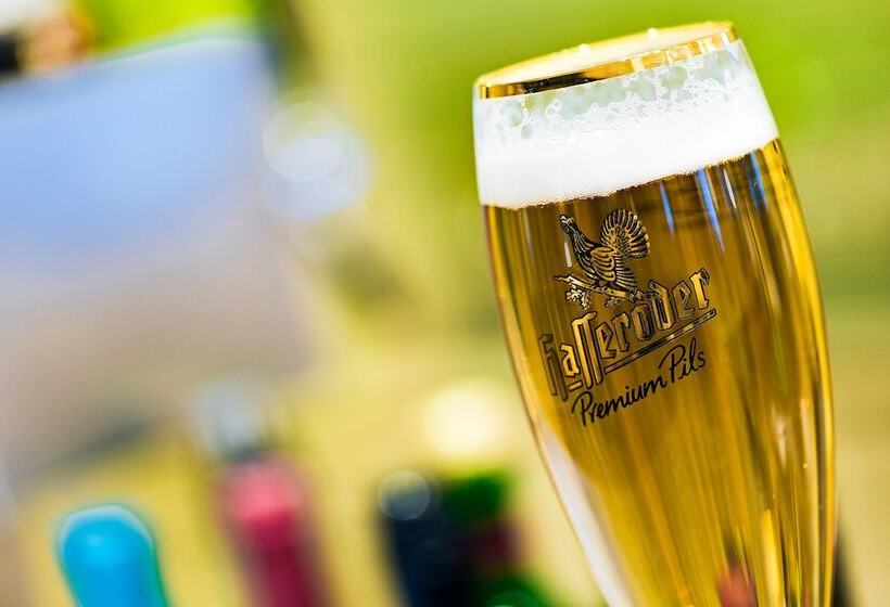 酒店 Alte Klavierfabrik Meißen