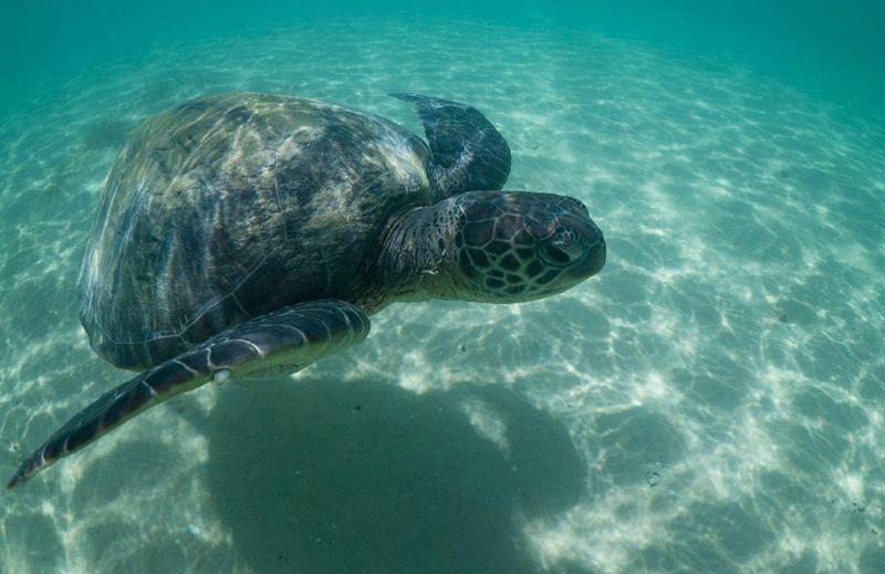 هتل Arajilla Retreat