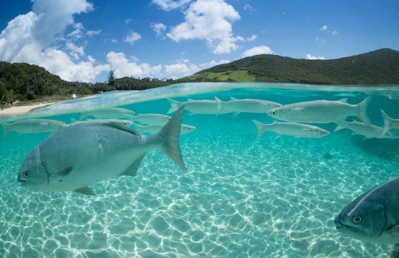 هتل Arajilla Retreat